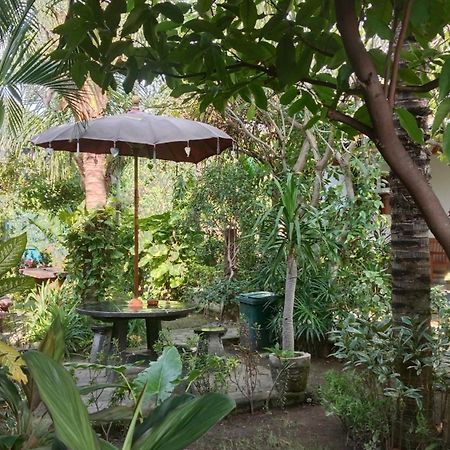 Van Santri Homestay Pemuteran Екстер'єр фото