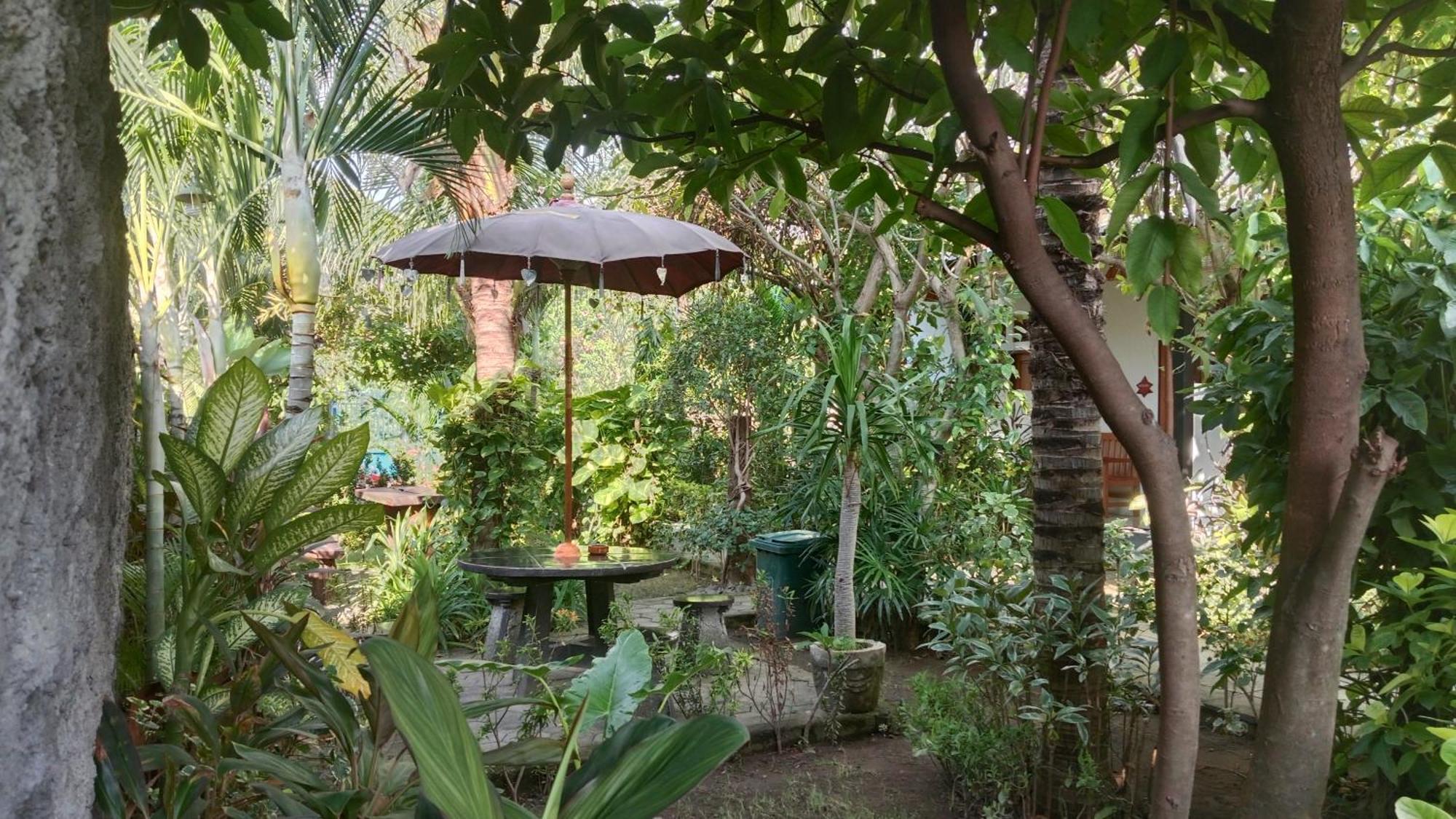 Van Santri Homestay Pemuteran Екстер'єр фото